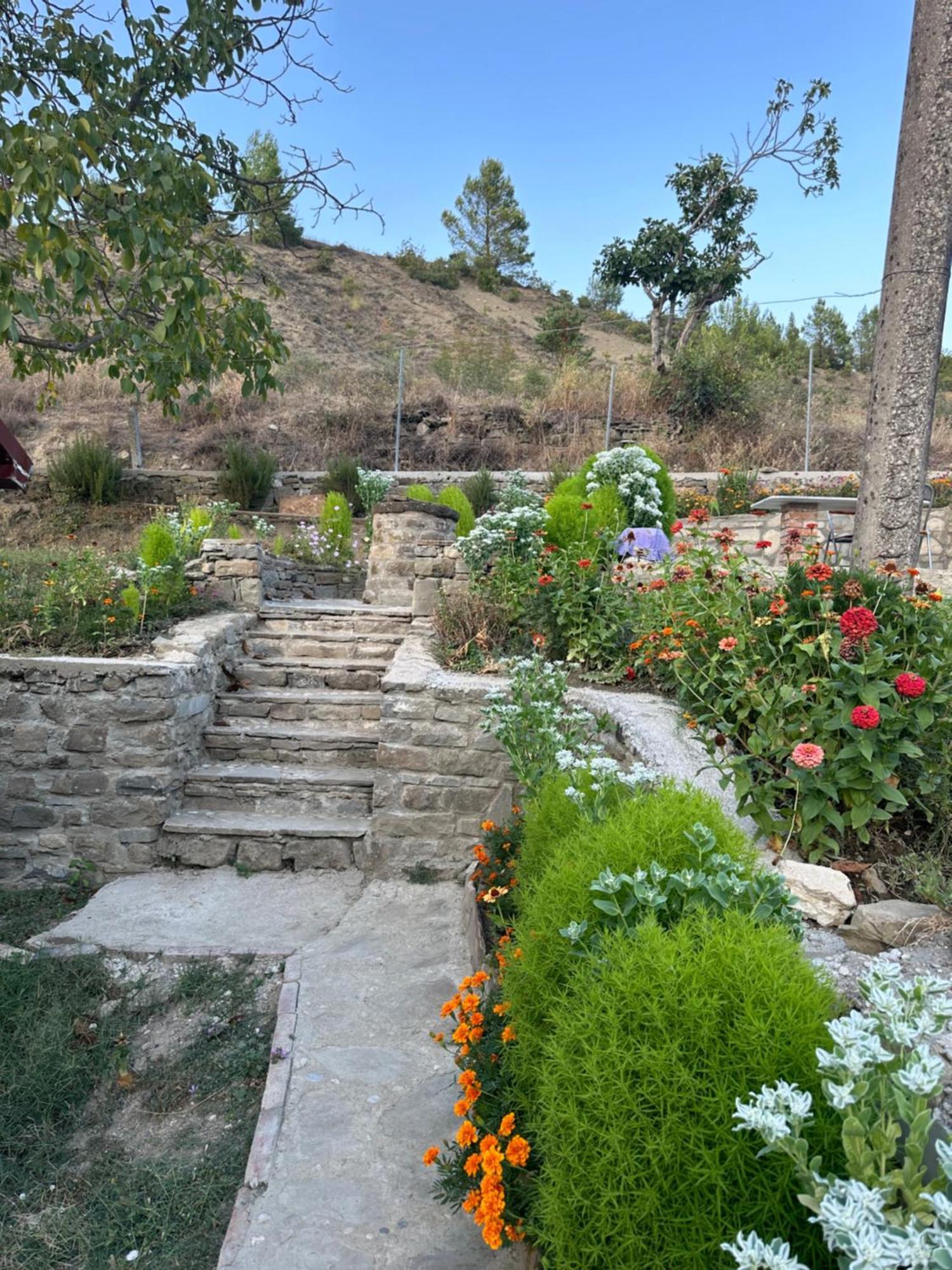 Villa Stone House Kelcyre Esterno foto