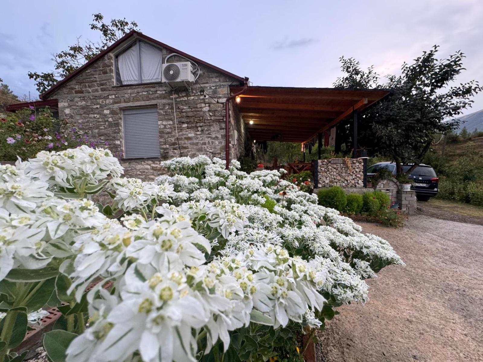 Villa Stone House Kelcyre Esterno foto